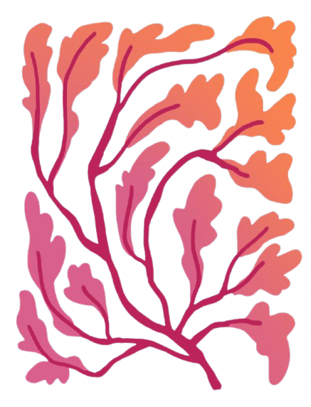 Naturkosmetik: gut oder schlecht für die Haut?