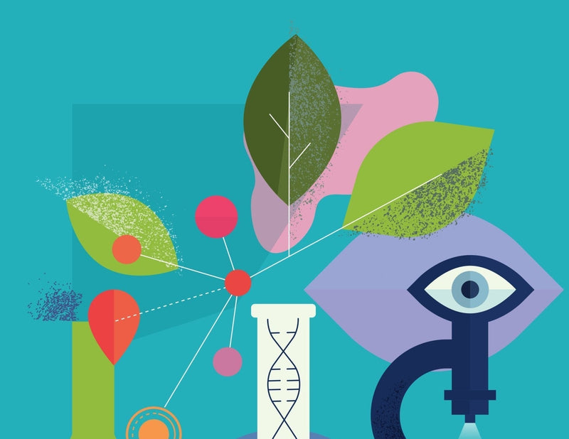 The Lovely Way to formulate - Beyond Minimalism