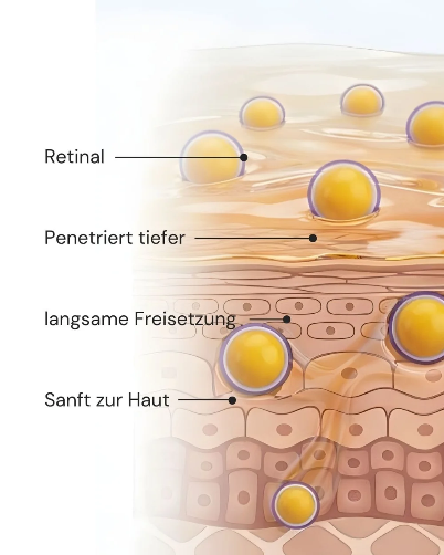 Merme New by Morning Serum (Retinal)